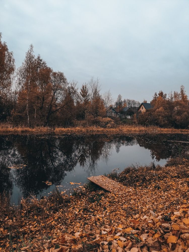 Photograph by Екатерина Федорова