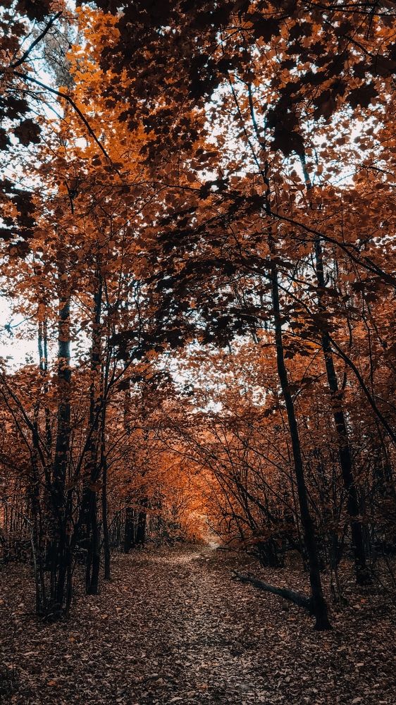 Photograph by Екатерина Федорова
