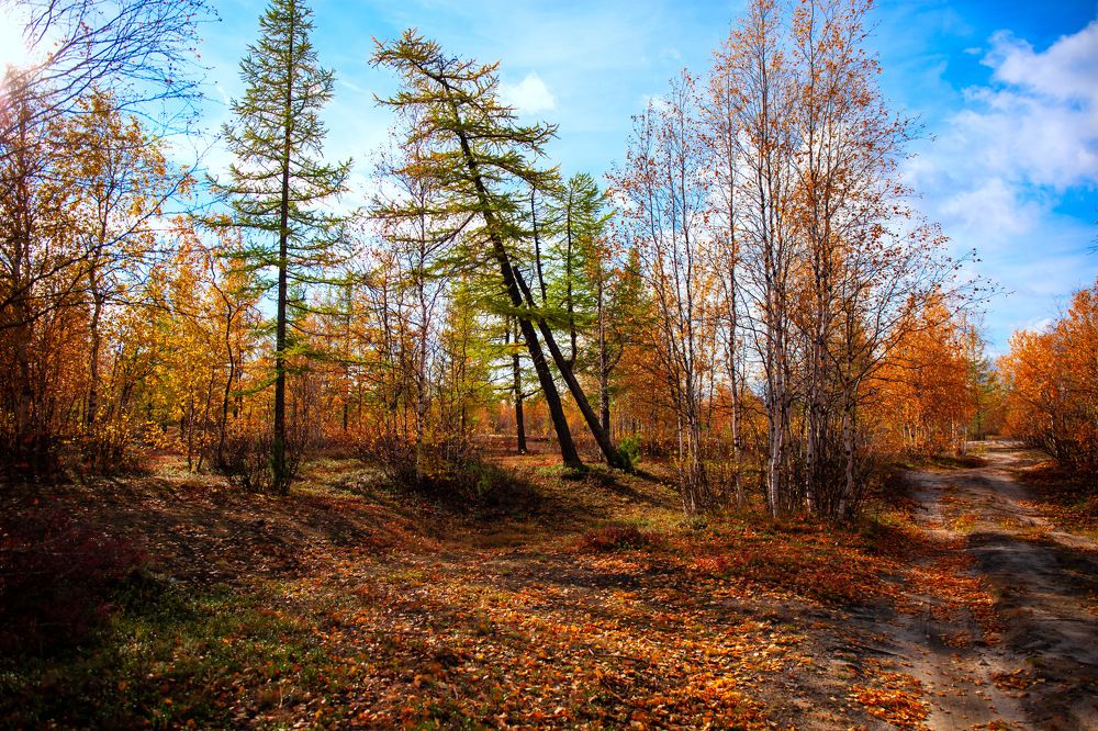 Photograph by Ксения Фёдорова