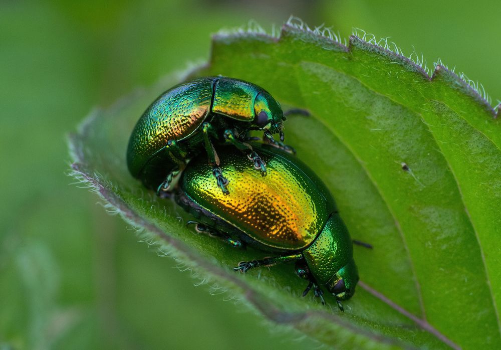 Photograph by Андрей Бурда