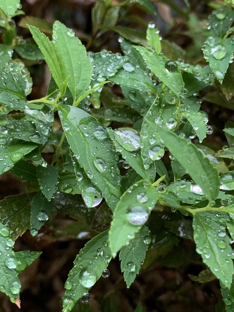 Photograph by Елена Макуха