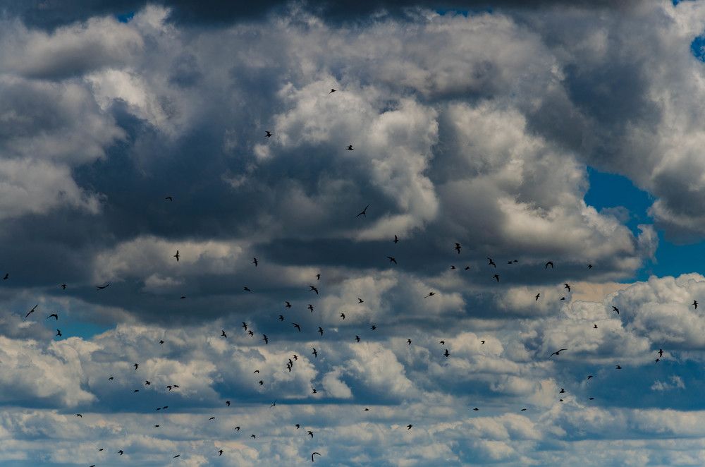 Photograph by Редько Александр