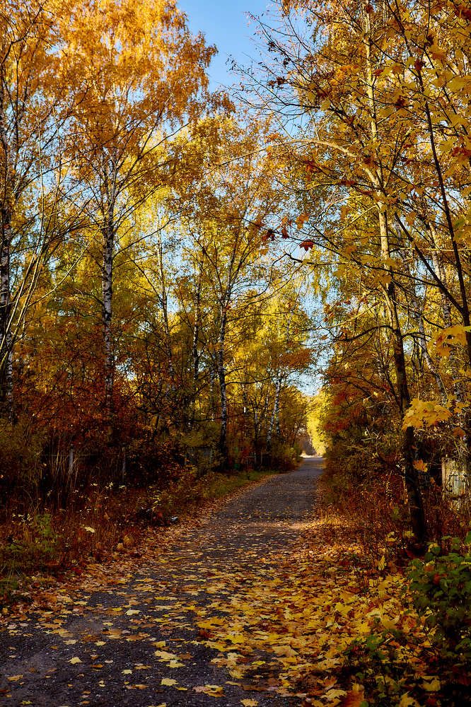 Photograph by Голованов Николай