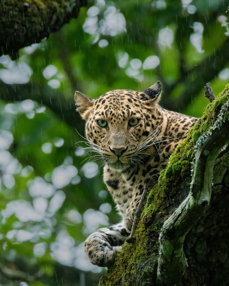 Фотография автора Anandhu M