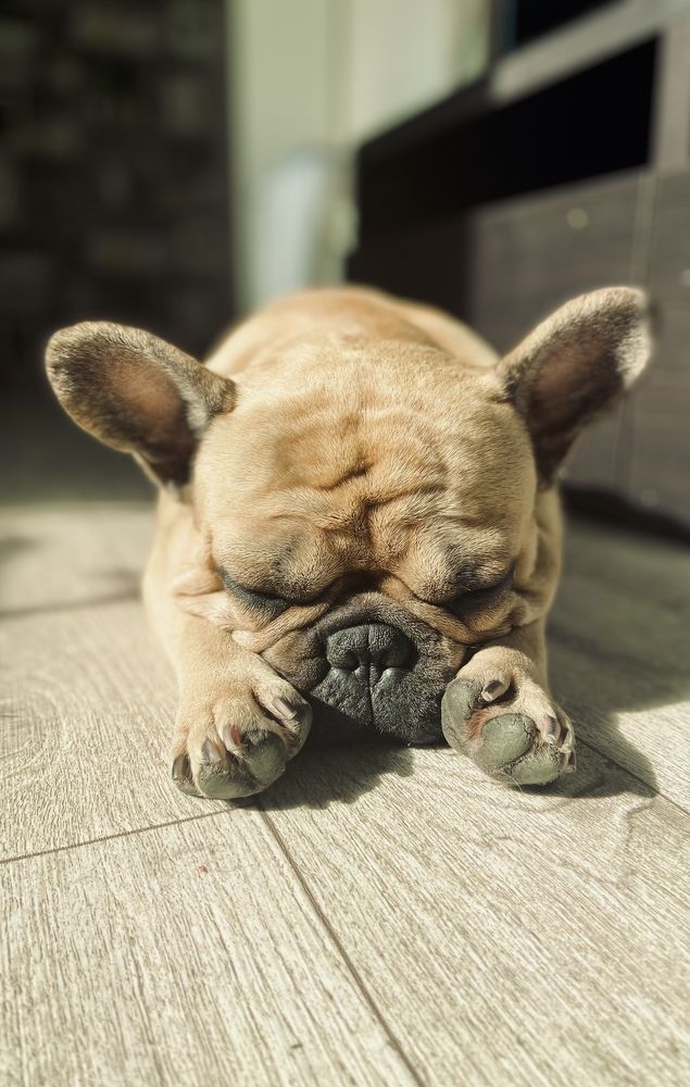 Photograph by Анна