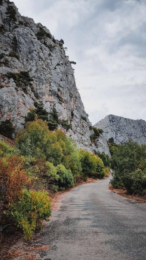 Photograph by Екатерина Николаева