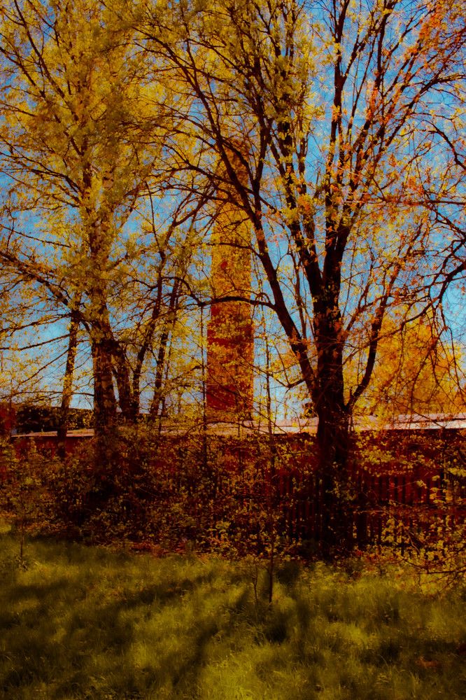 Photograph by Сергей Аникушин