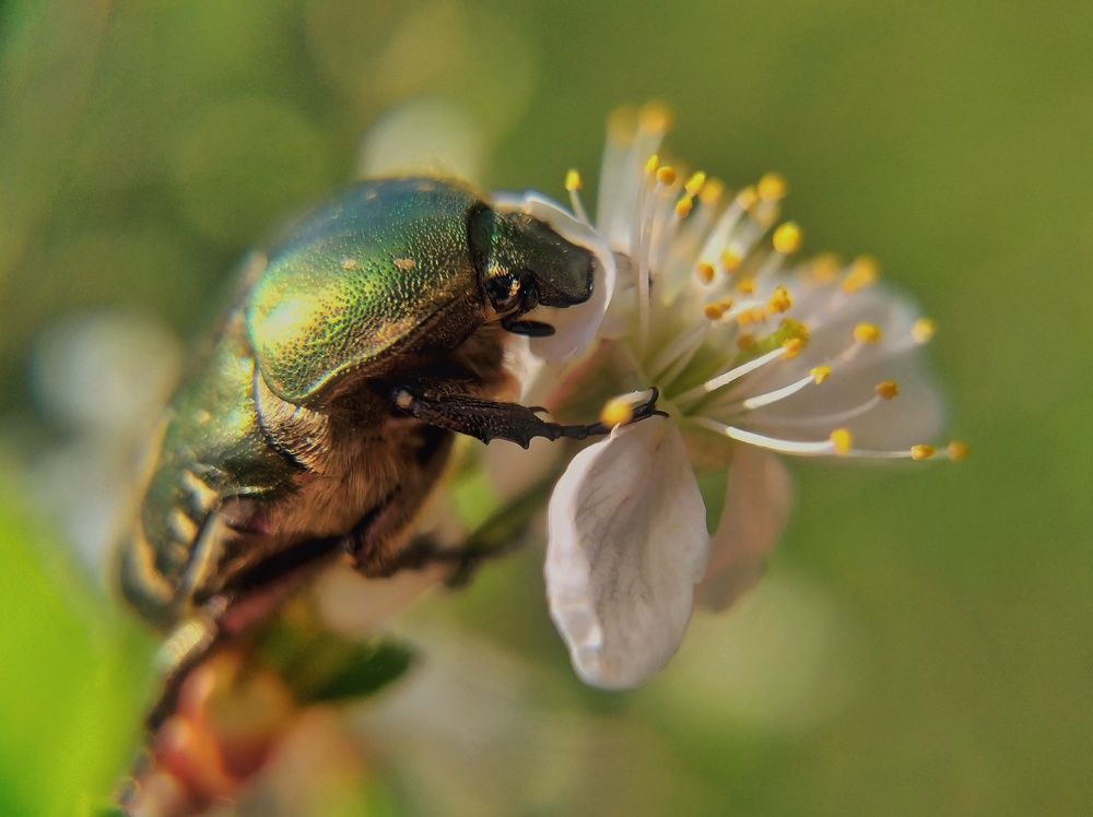Photograph by Ольга Юминова