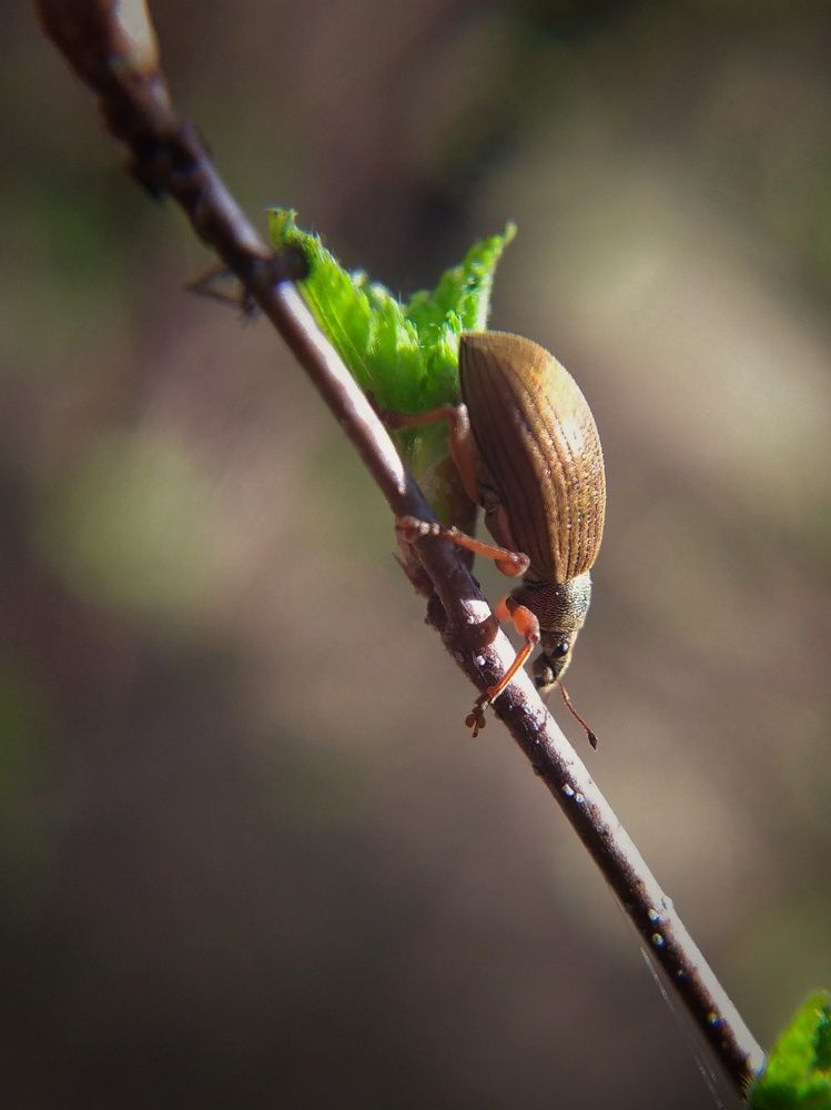 Photograph by Ольга Юминова