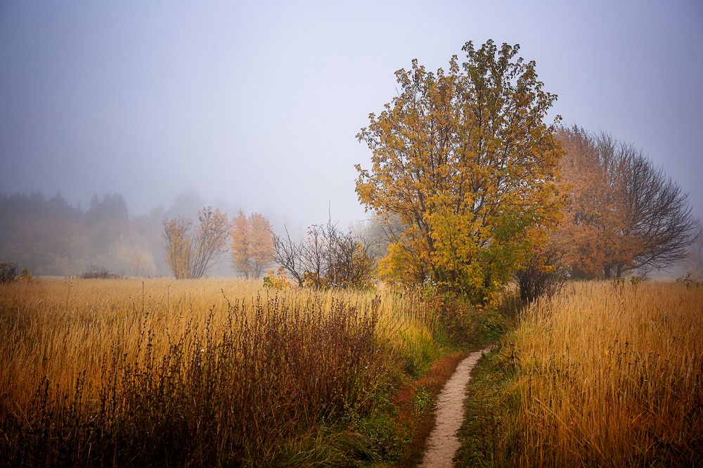 Photograph by Алексей Трифонов