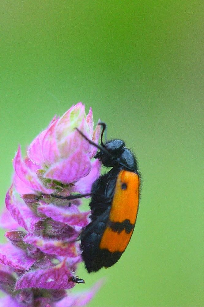 Photograph by Мария Мельникова