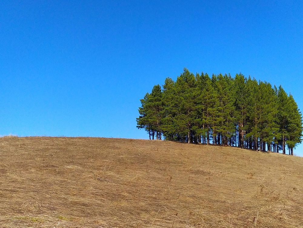 Photograph by Ольга Юминова