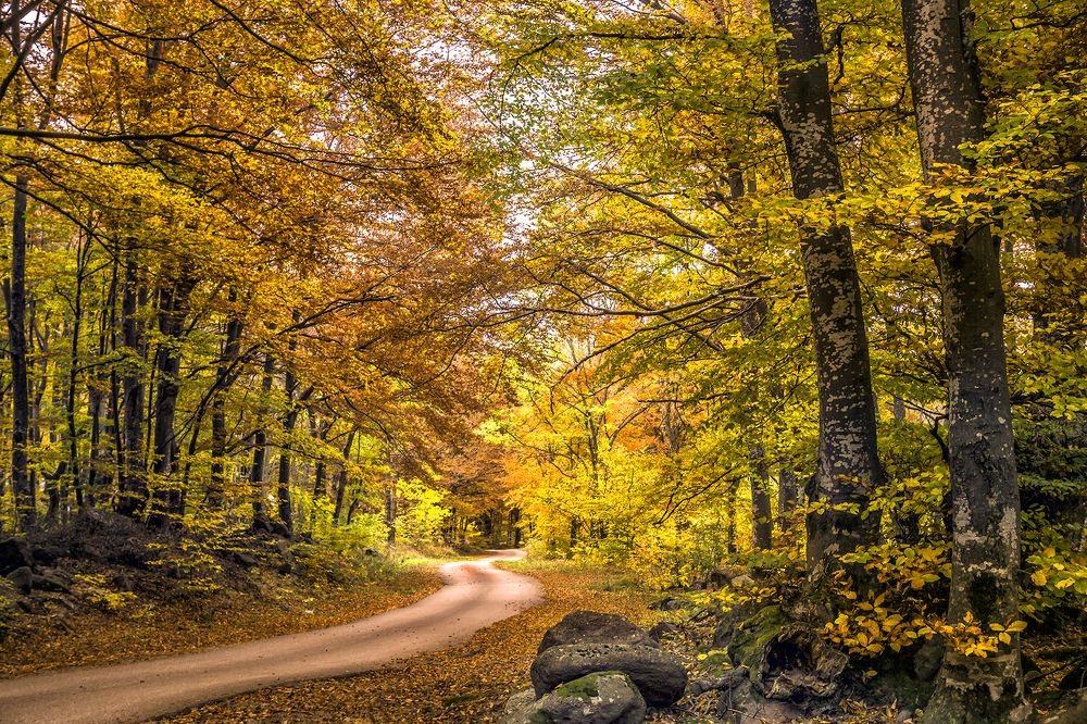 Фотография автора Milena Ivanova