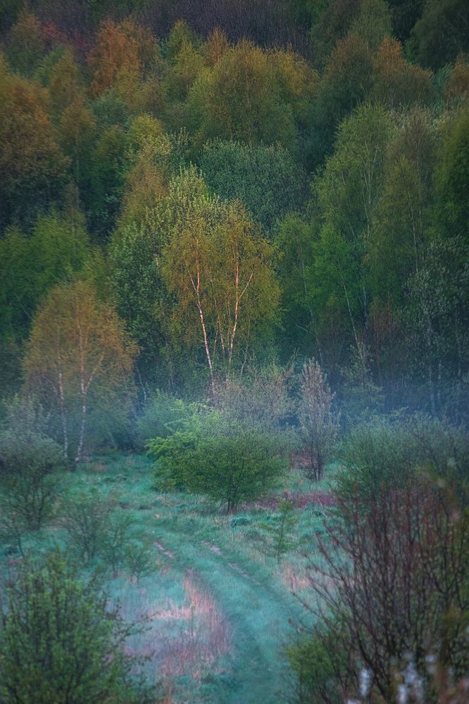 Photograph by Смоляк Максим Дмитриевич