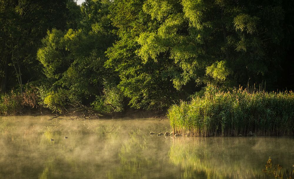 Photograph by Смоляк Максим Дмитриевич