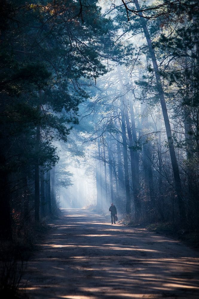 Photograph by Смоляк Максим Дмитриевич