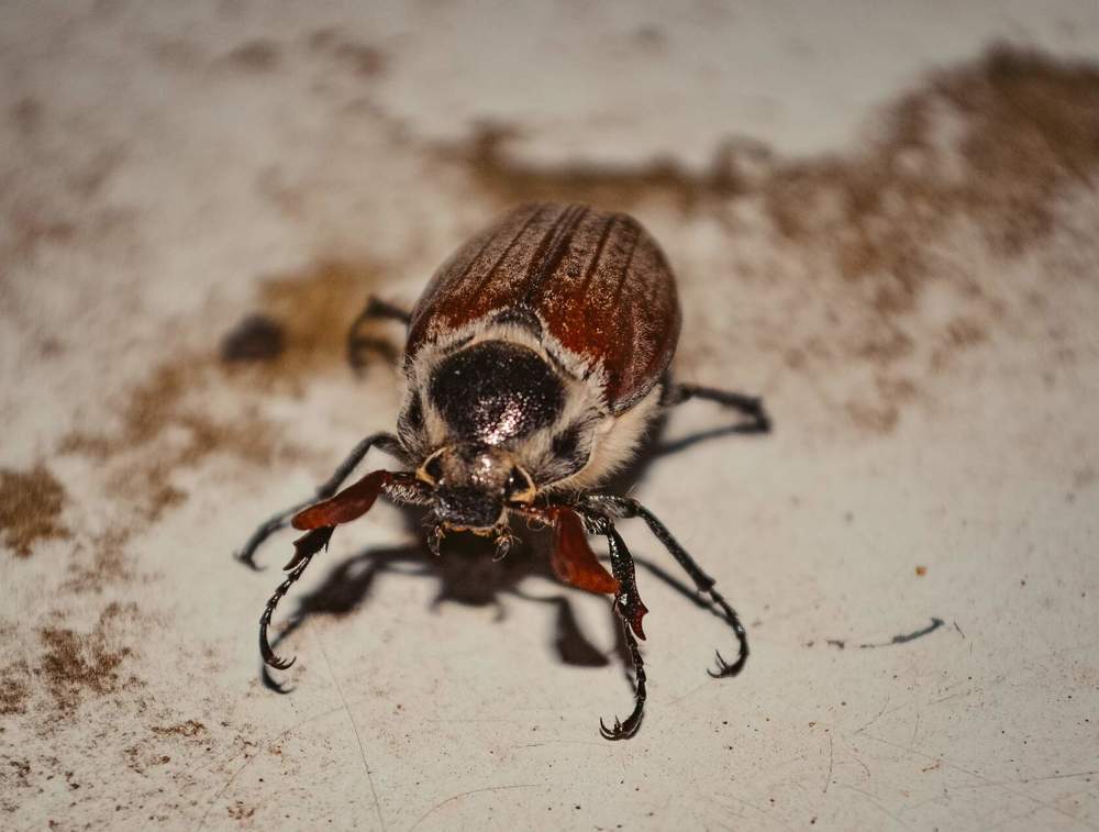 Photograph by Анжелика Трошина