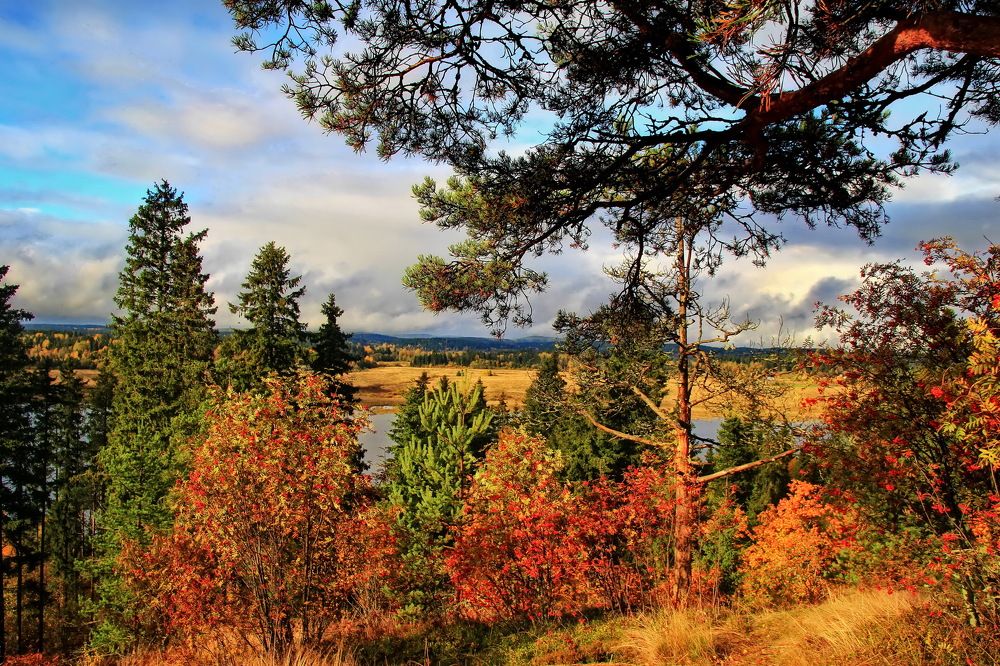 Photograph by Станислав Староверов