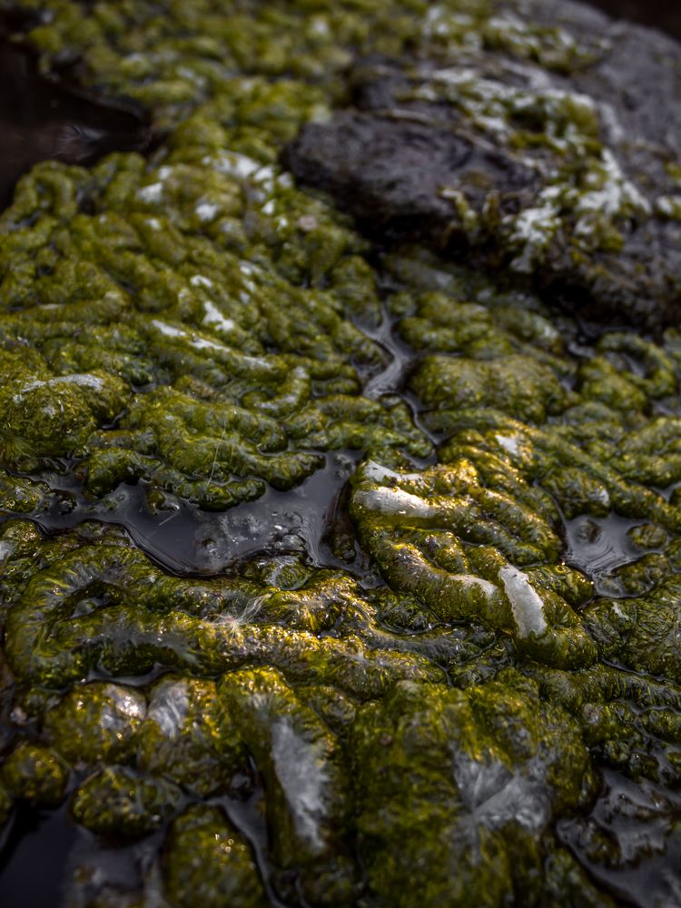 Photograph by Даниил Щербаков