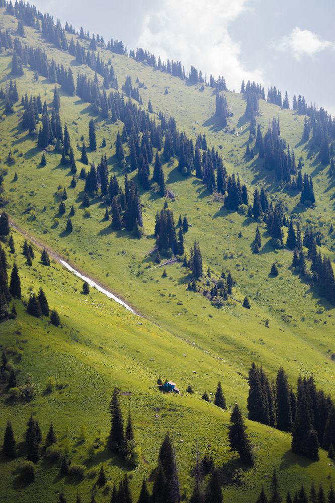 Photograph by Даниил Щербаков