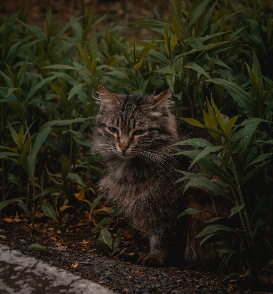 Photograph by Даниил Щербаков