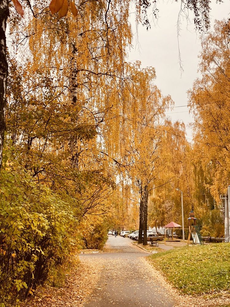 Photograph by Евгения Казакова