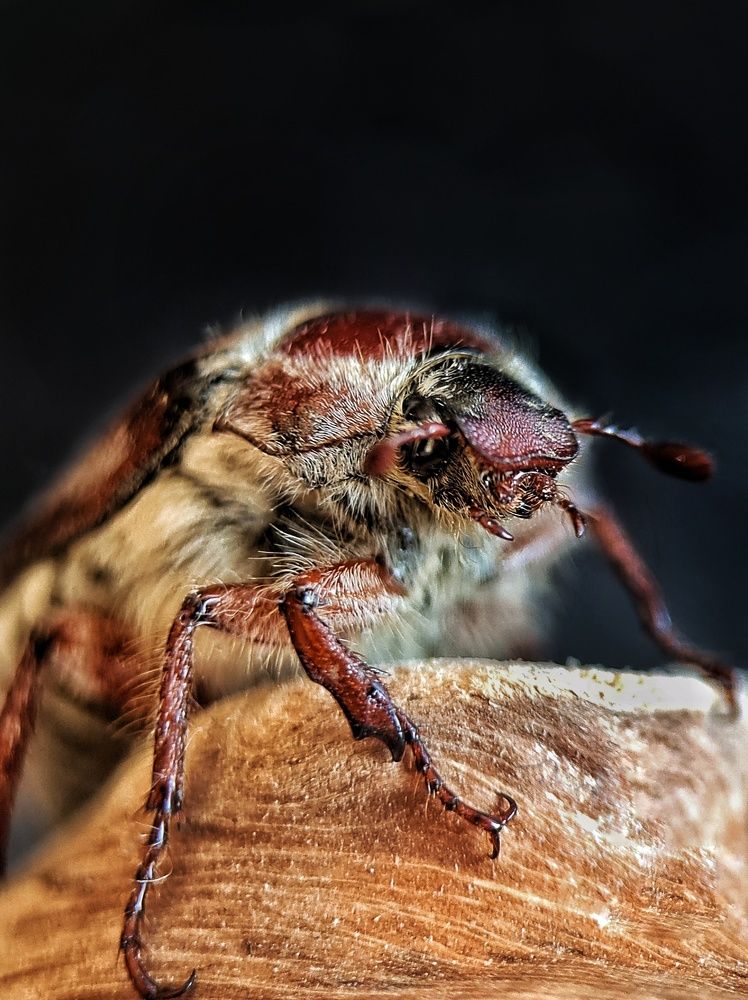 Photograph by Светлана Смирнова