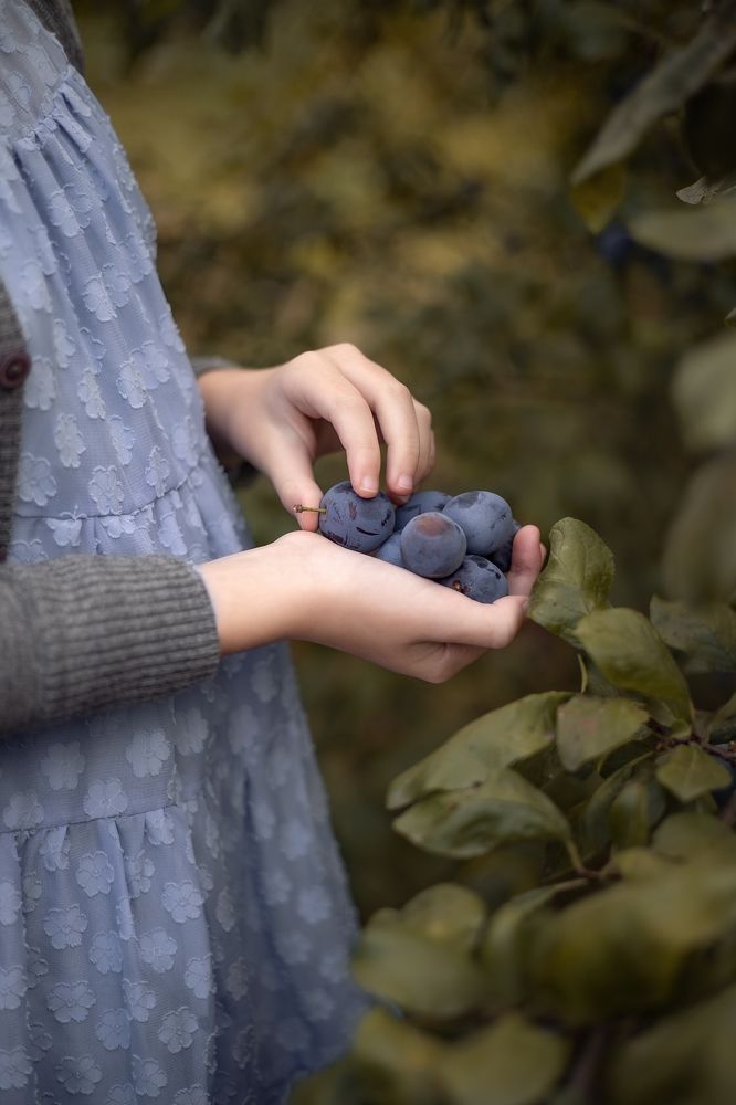 Photograph by Елена Косинова