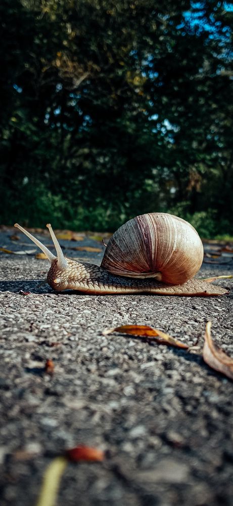 Photograph by Юлия Белозёрова