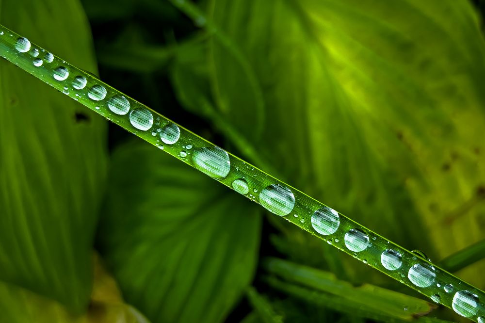 Photograph by Никита Борзов