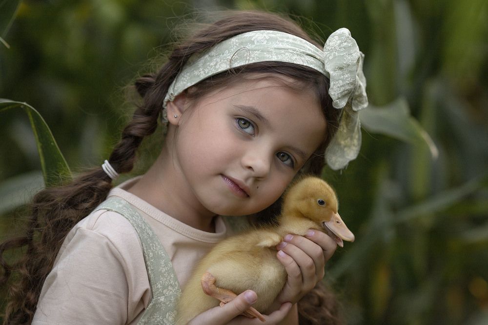 Photograph by Людмила Прошина