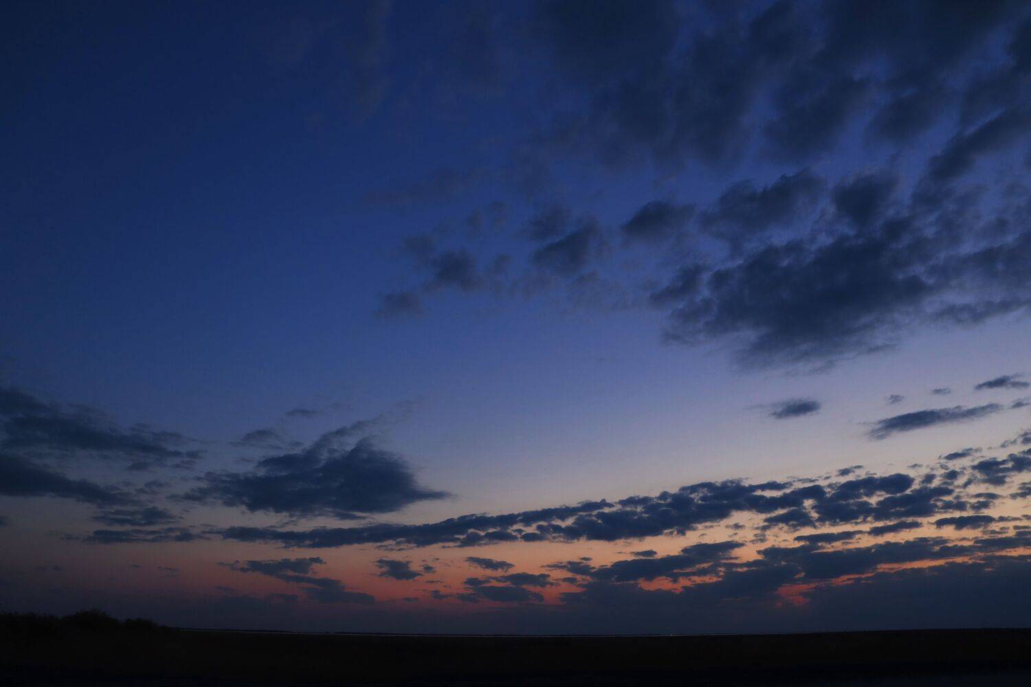 Photo #8051290
