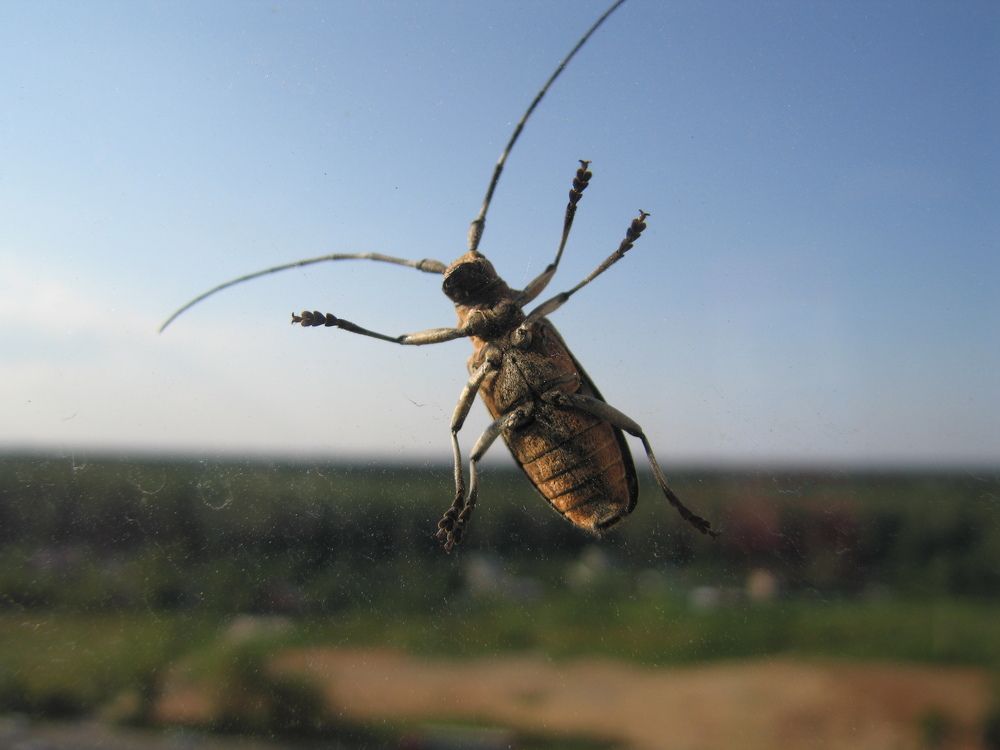 Photograph by Наталья Жигарева