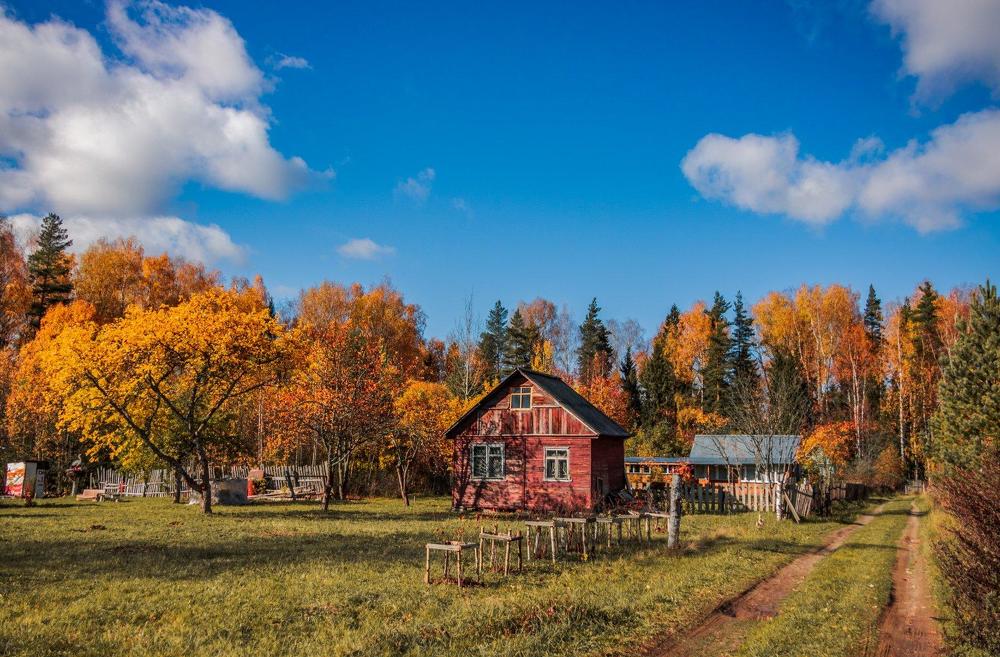Краски осени