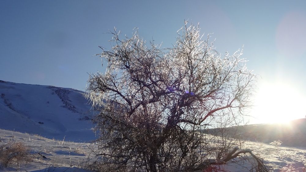 Photograph by Елена Мясникова