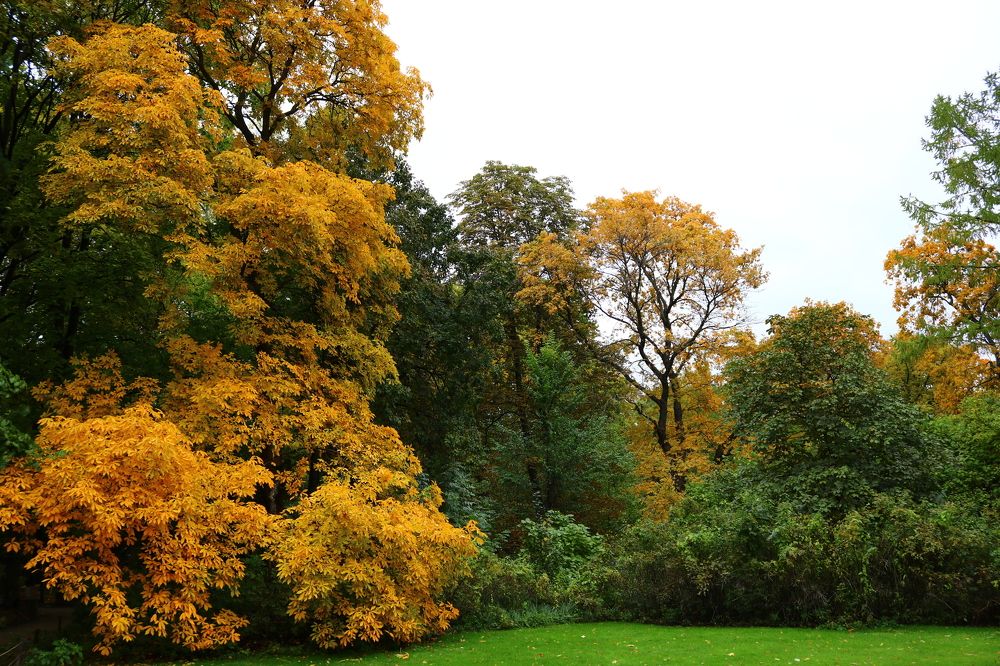 Photograph by Светлана Шуткова