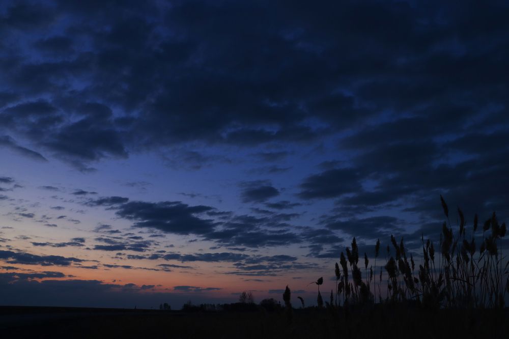 Photograph by Анна Горбунова