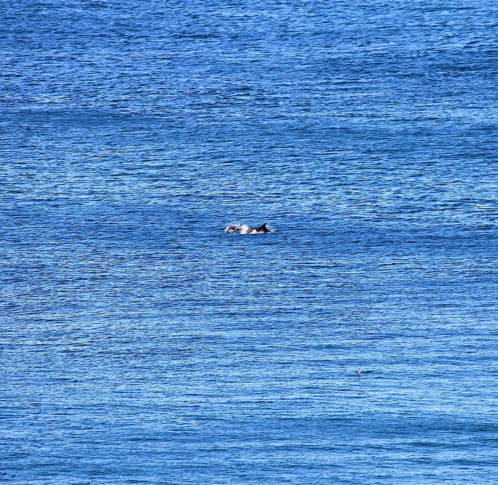 Photograph by Наталья Жигарева