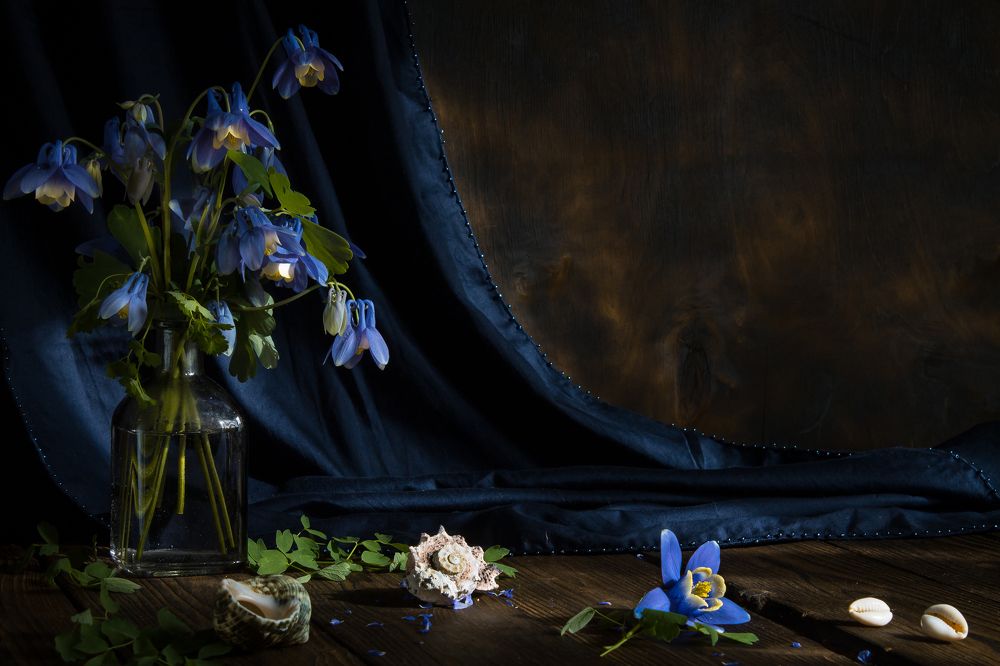 Фотография автора Наталья Соболь