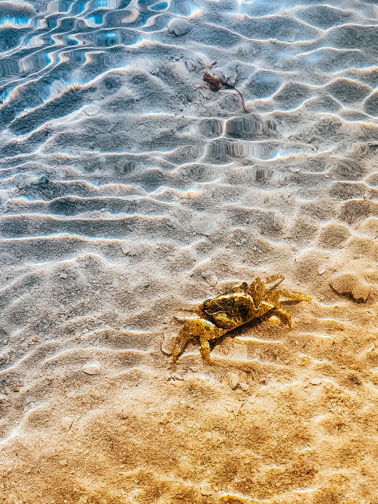 Photograph by Jana Smirnova