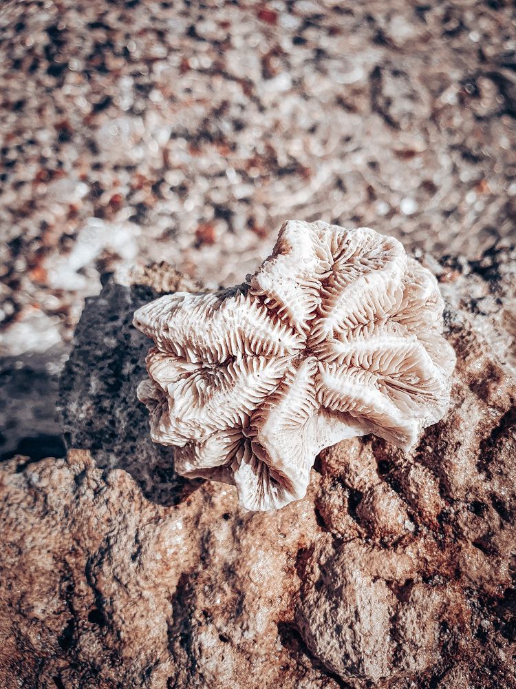 Photograph by Jana Smirnova