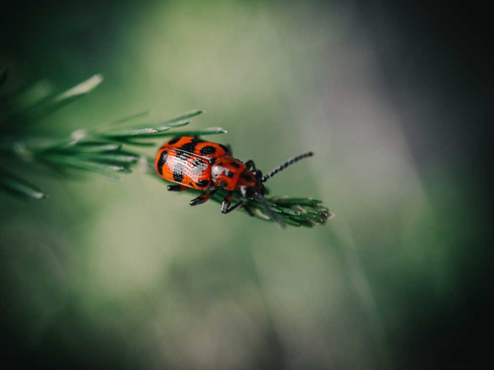 Photograph by Дмитрий Поварков