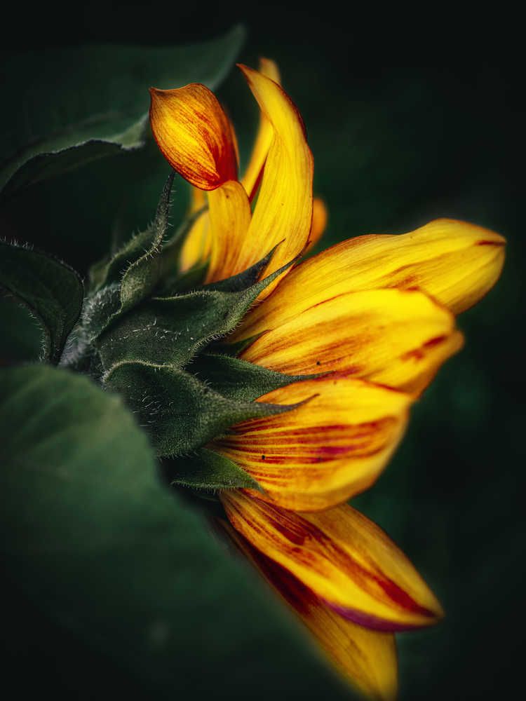 Photograph by Дмитрий Поварков