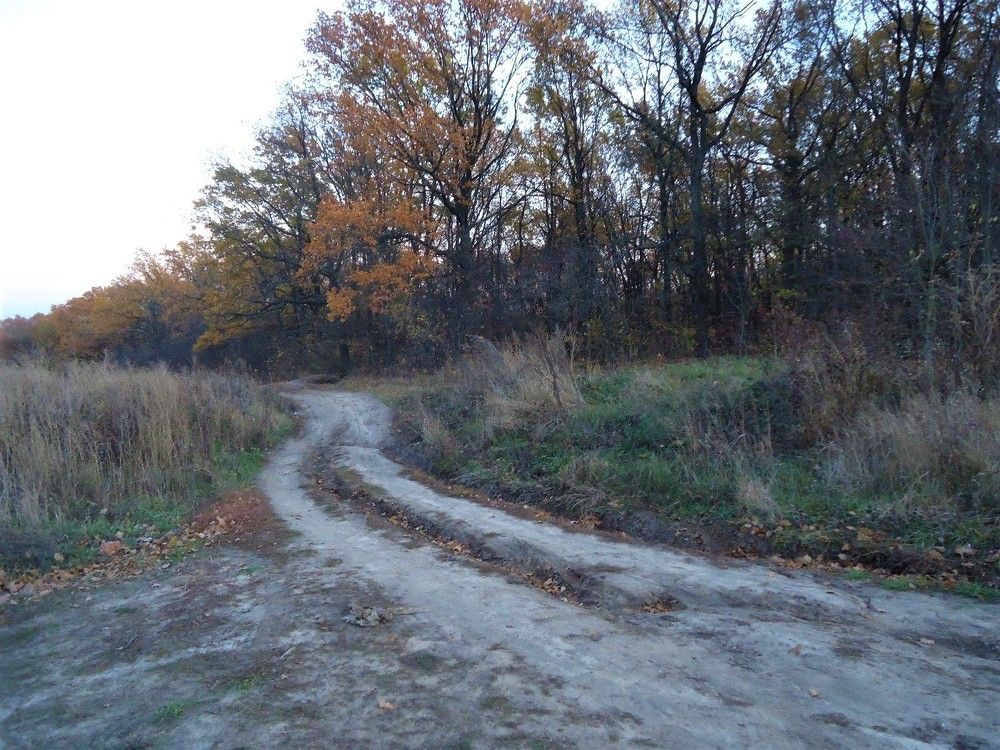 Photograph by Наталья Галай