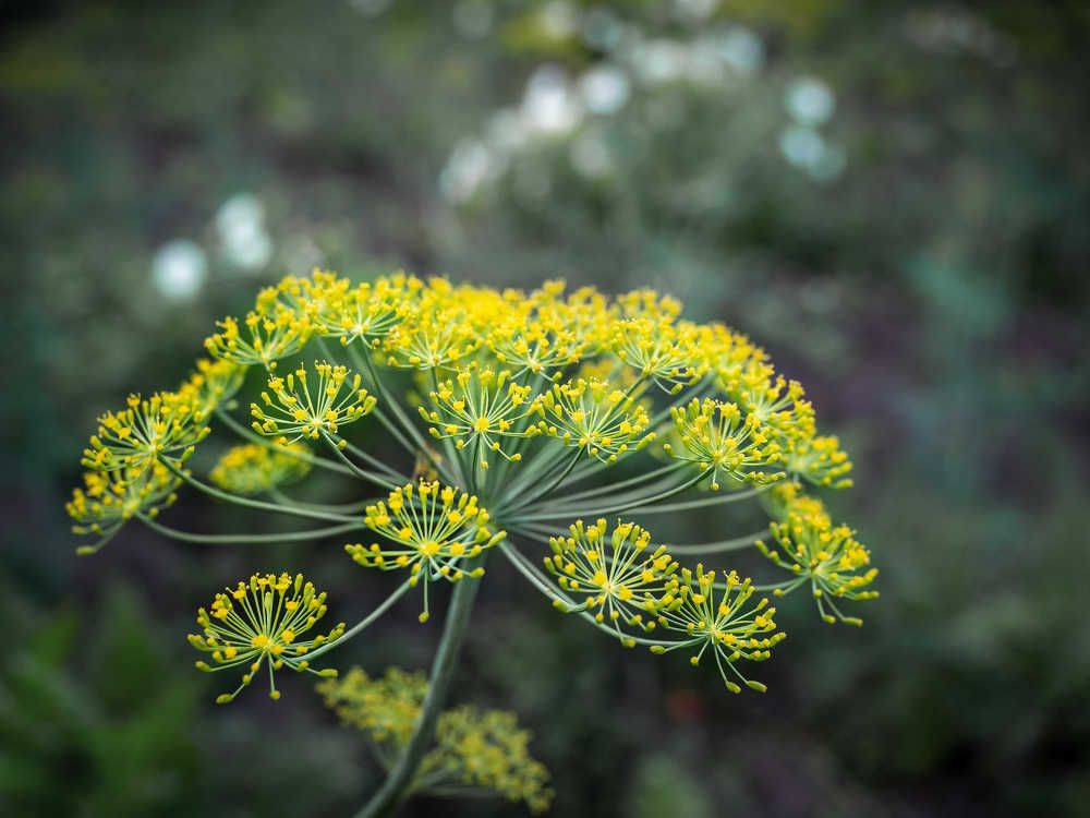 Photograph by Дмитрий Поварков
