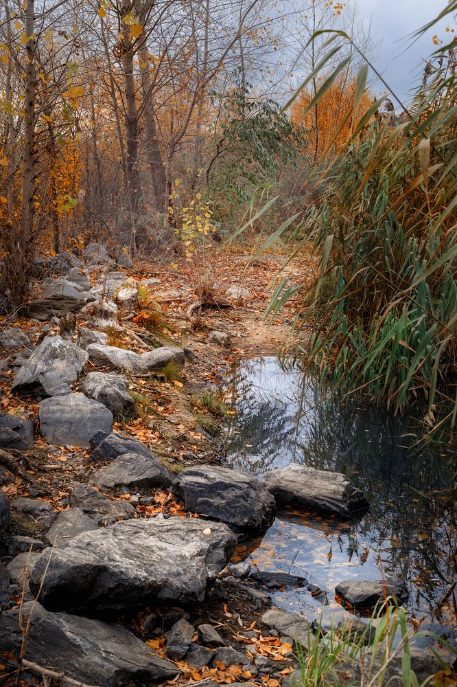 Photograph by Natalya Jankauskene