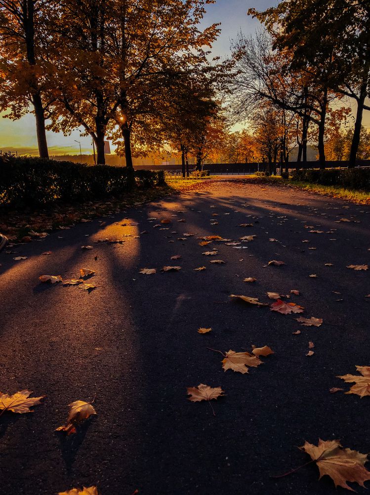 Photograph by Мария Королькова