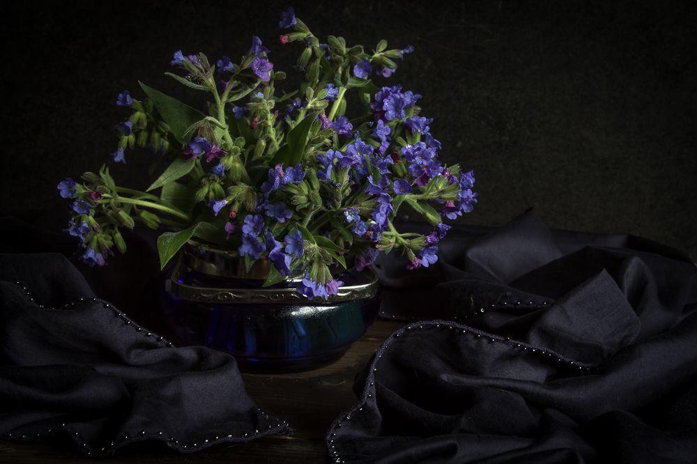 Фотография автора Наталья Соболь