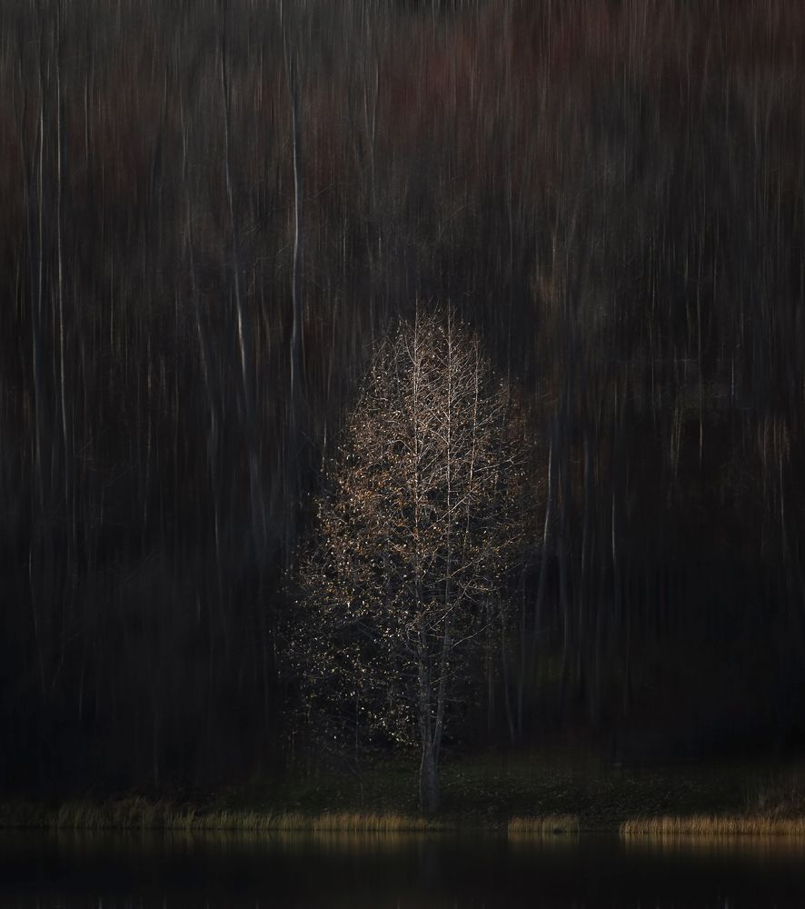 Photograph by Светлана Краюшкина