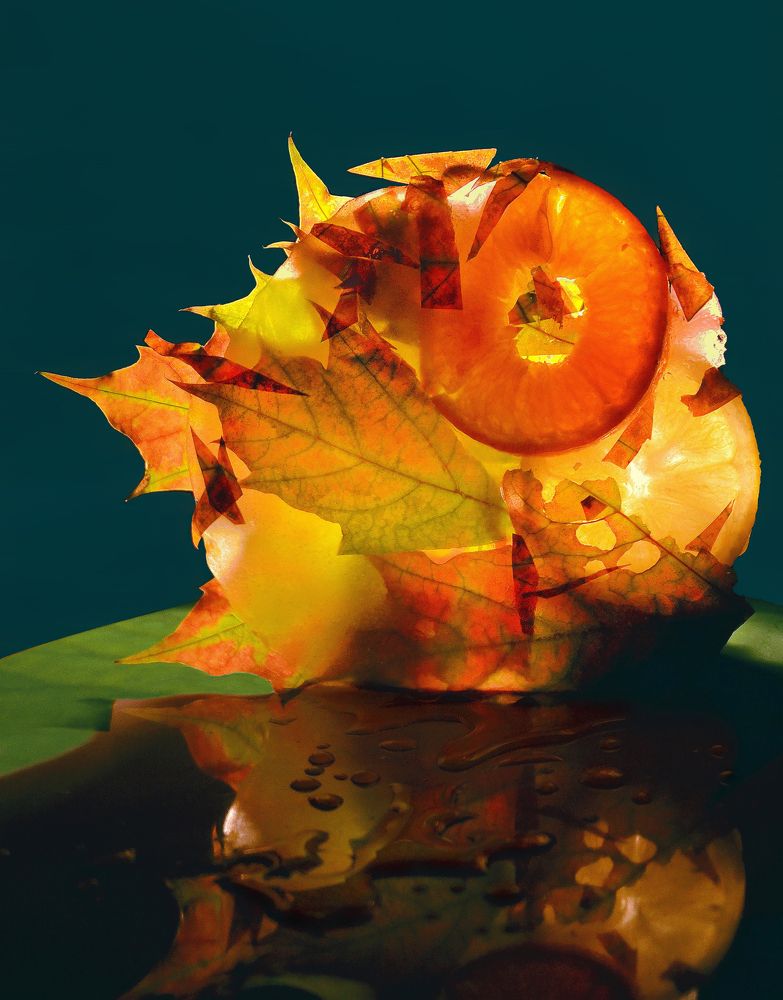 Photograph by Константин Мишнаевский